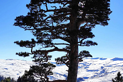 Лагонаки зимой, плато и нагорье в горной Адыгее