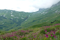 Пейзаж в горах с цветами, маршрут 30 через горы к морю тур поход