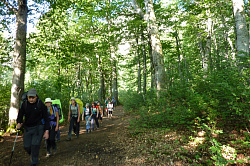 Это поход через лес по туристическому маршруту Знаменитая Тридцатка - легендарный маршрут 30. На снимке поход в зоне леса по буковому лесу.
