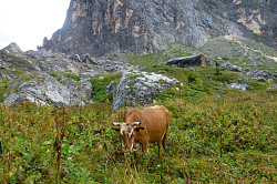 Природа в походе через горы к морю маршрут 30