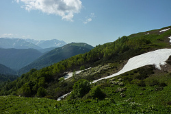 Цветы на фоне снежников в горах, маршрут 30 через горы к морю
