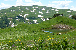 Горный пейзаж с озером и цветами, маршрут 30-ка через горы к морю