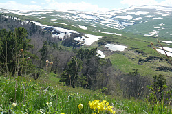 Фото весна красивой природы гор и плато Лагонаки весной  - фото природы Адыгеи.