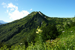 Это гора Хрустальная, на этой горе находят полудрагоценный камень Горный хрусталь. Фото с тропы туристического маршрута Знаменитая Тридцатка - легендарный маршрут 30.