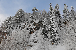 Фото зимы в лесу, автор фото Черных В.Е.