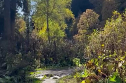 Тропа маршрута 30 через горы к морю