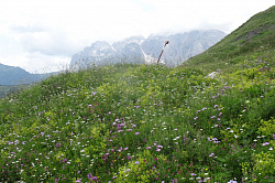 Природа Кавказа, маршрут 30