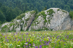 Поляна с цветами на фоне скал, маршрут 30 через горы к морю