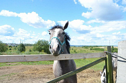 Активный отдых и туры в Костромской области