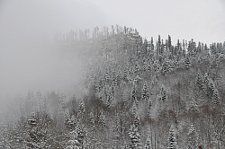 Деревья в снегу фото Черных В.Е. Эта фотография сделана в горном курорте Хаджох. Из Хаджоха начинается маршрут  Знаменитая Тридцатка - легендарный маршрут 30. Эти красивые деревья в снегу находятся на горном хребте Азиштау.