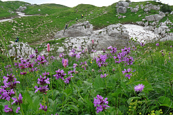 Красоты природы на тур маршруте 30 поход через горы к морю