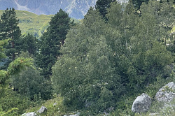 Маршрут 30, гора Фишт поход через горы к морю