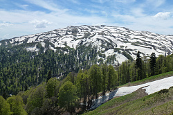 Это гора Гузерипль в горном курорте Хаджох. Из Хаджоха начинается маршрут  Знаменитая Тридцатка - легендарный маршрут 30 и проходит вдоль горы Гузерипль.
