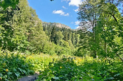 Горный лес, маршрут 30