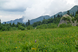 Этот красивый зеленый пейзаж в горах снят на турмаршруте Легендарная Тридцатка