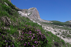 Фото Кавказа, маршрут 30 через горы к морю