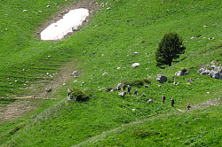 Знаменитый поход 30-ка через горы к морю пеший тур маршрут