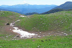 Лошади в горах пейзаж с лошадьми на маршруте 30 через горы Адыгеи к морю