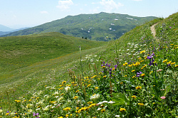 Склон в цветах, маршрут 30 через горы к морю легендарная Тридцатка