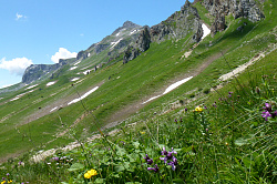 Красивый пейзаж в горах, маршрут 30 через горы к морю