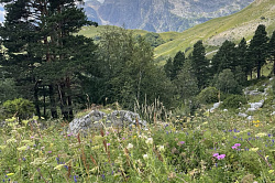 Маршрут Тридцатка поход к морю - 30ка