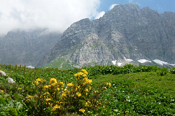 Пейзаж гор с желтыми цветами, маршрут 30 через горы к морю
