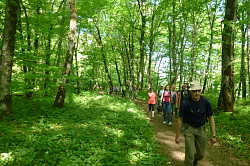Фото летом в лесу туристы на отдыхе в лесу курорта Хаджох на прогулке.