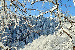 Зимняя сказка горной Адыгеи
