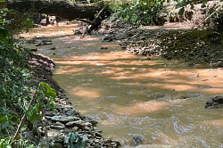 Горный поток