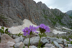 Горный пейзаж Адыгеи с цветами, маршрут 30 через горы к морю