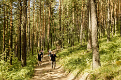 Люди в лесу, туристы
