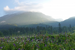 Это прекрасное по красоте летнее утро на туристическом маршруте Знаменитая Тридцатка - легендарный маршрут 30  в горах на Фиштинской поляне. Каждое летнее утро в этих местах неповторимо и прекрасно.