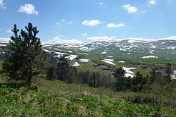 Это фото пейзажа природы горного плато Лагонаки на юге России в горах Адыгеи.