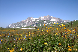 Альпийские луга, маршрут 30 через горы к морю