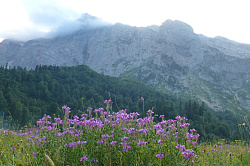 Пейзаж с горами и цветами, маршрут 30 через горы к морю Тридцатка