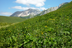 Яркий горный пейзаж с цветами, маршрут 30 через горы к морю