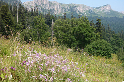 Ландшафт на маршруте 30 через горы к морю