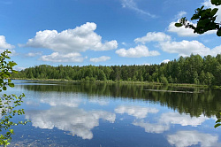 Красивая природа Подмосковья, озеро в Подмосковье