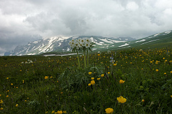 Поход через Лагонаки к морю, природа на маршруте 30