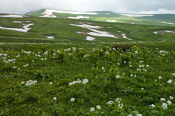 Лагонаки, маршрут 30 через горы к морю природа на туре