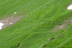 Легендарный поход через горы к морю маршрут 30 тур пеший