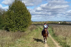 Конные туры