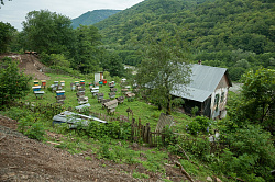 Горная пасека, маршрут 30