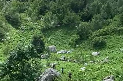 Видео маршрут 30 горный поход к морю