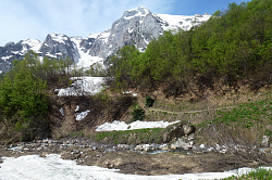 Весенняя природа в горах