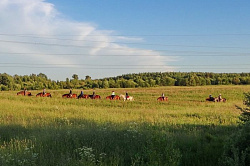 Конный поход