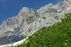 Горный склон в цветах, маршрут 30-ка через горы к морю тур поход