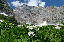 Горы весной