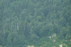 Горный туристский приют Фишт, маршрут 30 через горы к морю поход