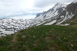 Начало весны в горах на Юге России